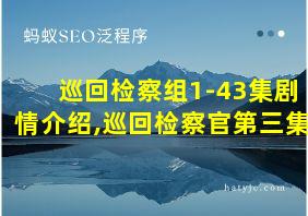 巡回检察组1-43集剧情介绍,巡回检察官第三集