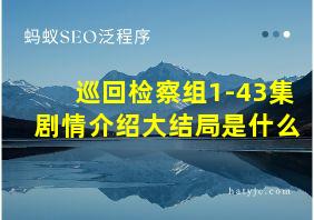 巡回检察组1-43集剧情介绍大结局是什么