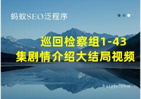 巡回检察组1-43集剧情介绍大结局视频