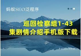 巡回检察组1-43集剧情介绍手机版下载