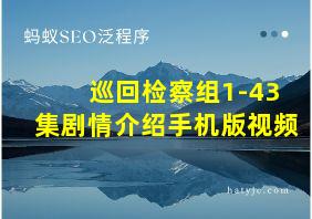 巡回检察组1-43集剧情介绍手机版视频