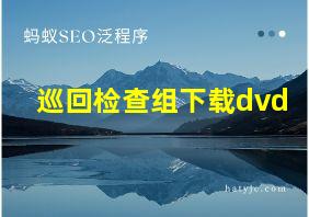 巡回检查组下载dvd