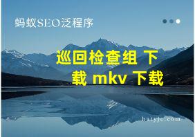 巡回检查组 下载 mkv 下载