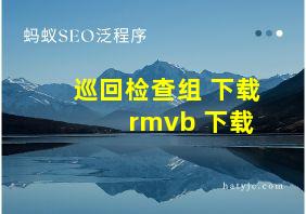 巡回检查组 下载 rmvb 下载