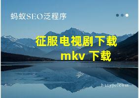 征服电视剧下载 mkv 下载