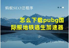 怎么下载pubg国际服地铁逃生加速器