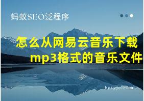 怎么从网易云音乐下载mp3格式的音乐文件