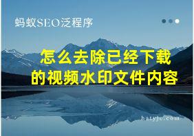 怎么去除已经下载的视频水印文件内容