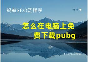 怎么在电脑上免费下载pubg