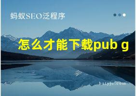 怎么才能下载pub g