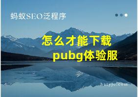 怎么才能下载pubg体验服