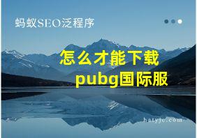 怎么才能下载pubg国际服