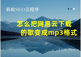 怎么把网易云下载的歌变成mp3格式