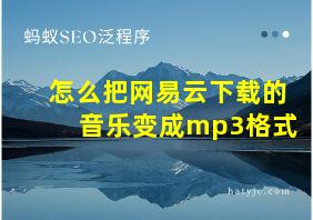 怎么把网易云下载的音乐变成mp3格式