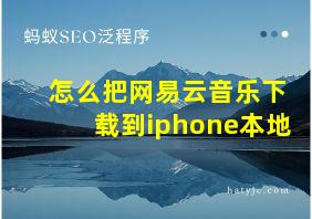 怎么把网易云音乐下载到iphone本地