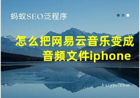 怎么把网易云音乐变成音频文件iphone