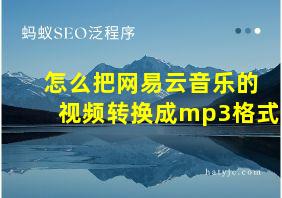 怎么把网易云音乐的视频转换成mp3格式