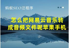 怎么把网易云音乐转成音频文件呢苹果手机