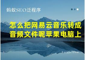 怎么把网易云音乐转成音频文件呢苹果电脑上