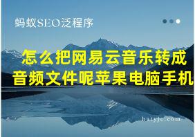 怎么把网易云音乐转成音频文件呢苹果电脑手机