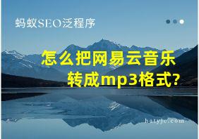 怎么把网易云音乐转成mp3格式?