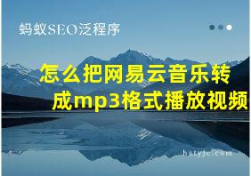 怎么把网易云音乐转成mp3格式播放视频