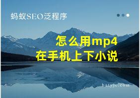 怎么用mp4在手机上下小说