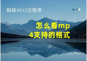 怎么看mp4支持的格式