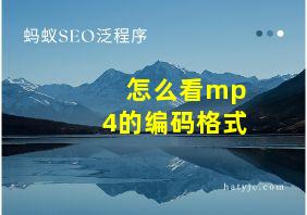 怎么看mp4的编码格式