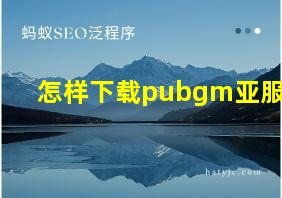 怎样下载pubgm亚服