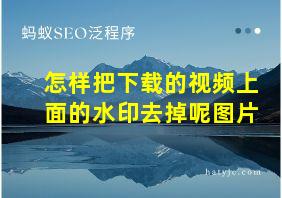 怎样把下载的视频上面的水印去掉呢图片