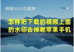 怎样把下载的视频上面的水印去掉呢苹果手机