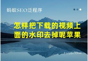 怎样把下载的视频上面的水印去掉呢苹果