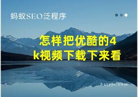 怎样把优酷的4k视频下载下来看