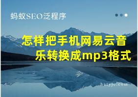 怎样把手机网易云音乐转换成mp3格式