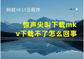 惊声尖叫下载mkv下载不了怎么回事