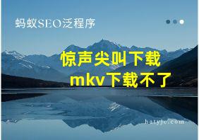 惊声尖叫下载mkv下载不了