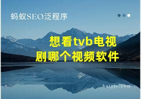 想看tvb电视剧哪个视频软件