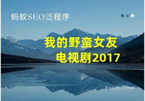 我的野蛮女友电视剧2017