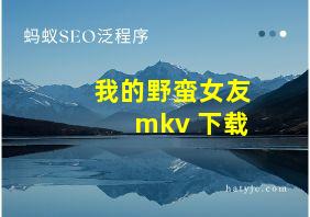 我的野蛮女友 mkv 下载