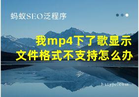 我mp4下了歌显示文件格式不支持怎么办