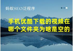 手机优酷下载的视频在哪个文件夹为啥是空的