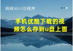 手机优酷下载的视频怎么存到u盘上面