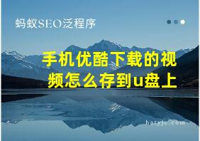 手机优酷下载的视频怎么存到u盘上