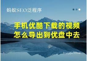 手机优酷下载的视频怎么导出到优盘中去