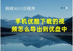 手机优酷下载的视频怎么导出到优盘中