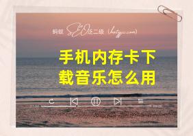 手机内存卡下载音乐怎么用