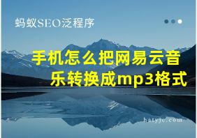 手机怎么把网易云音乐转换成mp3格式