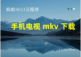 手机电视 mkv 下载