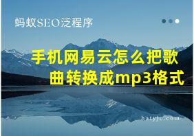 手机网易云怎么把歌曲转换成mp3格式